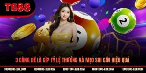 3 Càng Đề Là Gì? Tỷ Lệ Thưởng Và Mẹo Soi Cầu Hiệu Quả