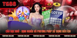 Cầu Bạc Nhớ - Định Nghĩa Và Phương Pháp Sử Dụng Hữu Ích