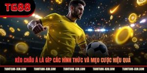 Kèo Châu Á Là Gì? Các Hình Thức Và Mẹo Cược Hiệu Quả