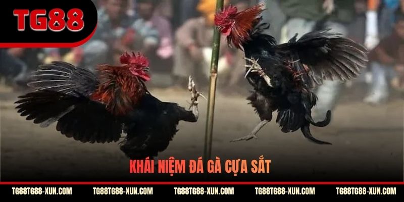 Khái niệm đá gà cựa sắt