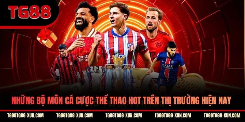 Những bộ môn cá cược thể thao hot trên thị trường hiện nay