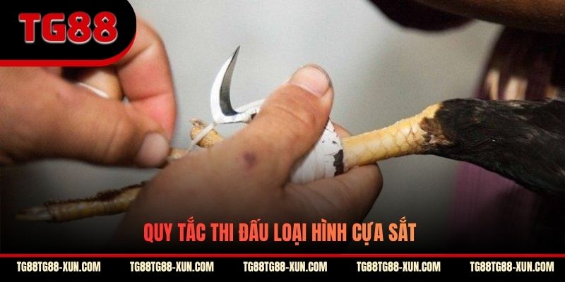 Quy tắc thi đấu loại hình cựa sắt