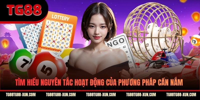 Tìm hiểu nguyên tắc hoạt động của phương pháp cần nắm