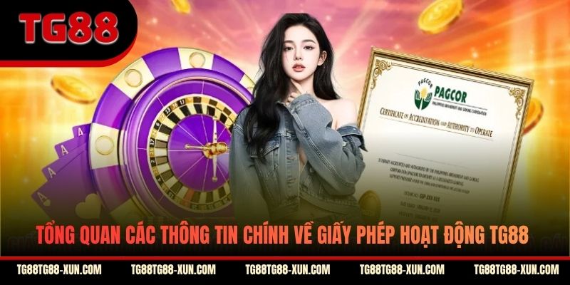 Tổng quan các thông tin chính về giấy phép hoạt động TG88
